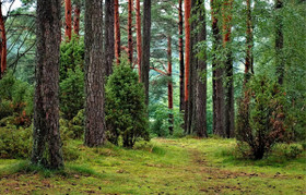 Oman voiman lähde - pieni pysähdys voi muuttaa paljon 