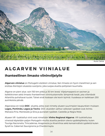 Portugalilainen Viinihetki (E-kirja)