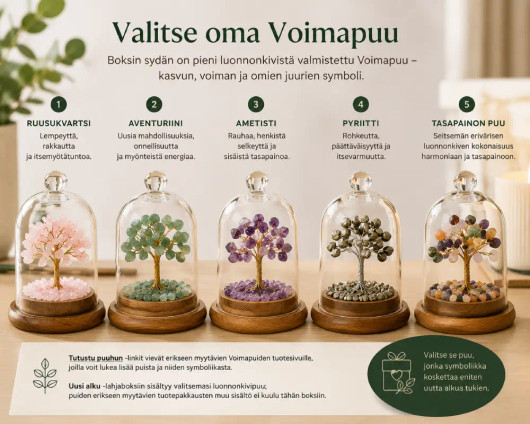Uusi Alku - Oma polku