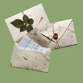 Tasapainon puu - hiljaisuuden hetki (Voimapuun puutarha)