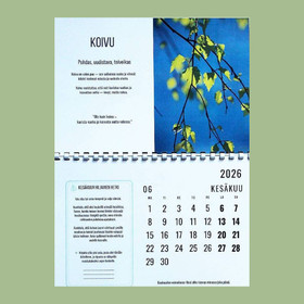 Lempeän valon vuosi  – paketti