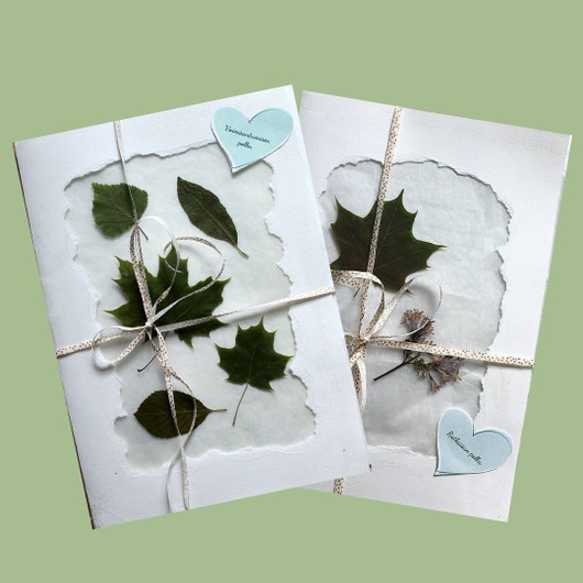 Voimapuun polut – oivallusten matka