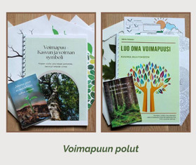 Voimapuun polut – oivallusten matka