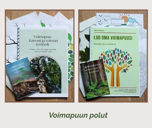 Voimapuun polut – oivallusten matka