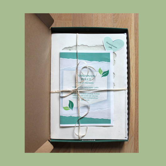 Voimapuun polut – oivallusten matka