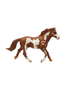 Schleich Pinto Ori 13616 Tuisku