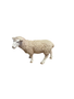 Schleich Lammas 13283