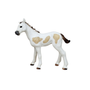 Schleich Pinto hevonen varsa 83041 Exclusive