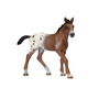 Schleich Appaloosa varsa 13733