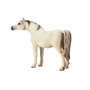 Schleich Arabialainen hevonen Tamma 13630