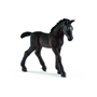 Schleich Lipizzan hevosen varsa 13820