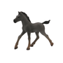 Schleich Arabialaisen varsa 13762 Special 