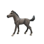 Schleich 83033 Hannoverinhevonen varsa special edition!