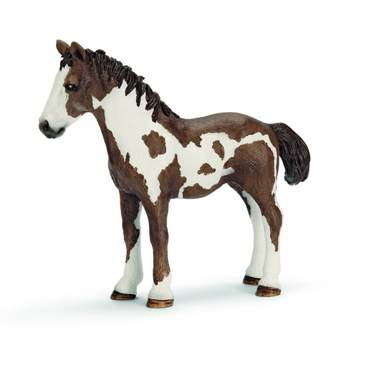 Schleich Pinto Nuorikko 13695