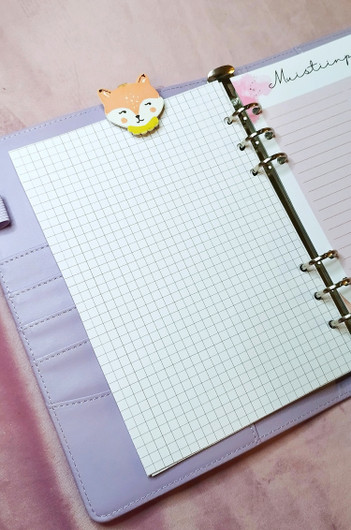 Budjetoinnin aloituspakkaus, vaaleanpunainen kansio. A5 koko.