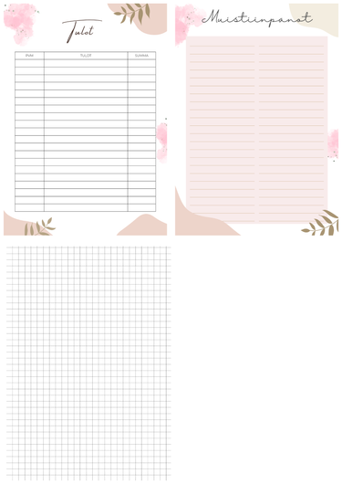 Budjetoinnin aloituspakkaus, vaaleanpunainen kansio. A5 koko.