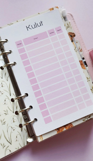 Säästötaulukko kortit budjettikansioon, pinkki teema