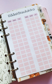 Säästötaulukko kortit budjettikansioon, pinkki teema