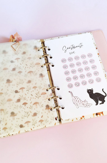 Säästöhaaste kortit budjettikansioon, Kissateema