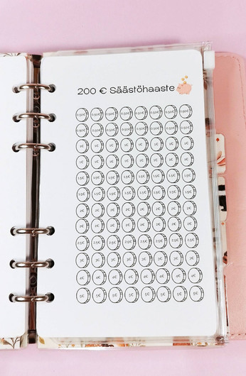 Säästöhaaste kortit budjettikansioon, Possuteema