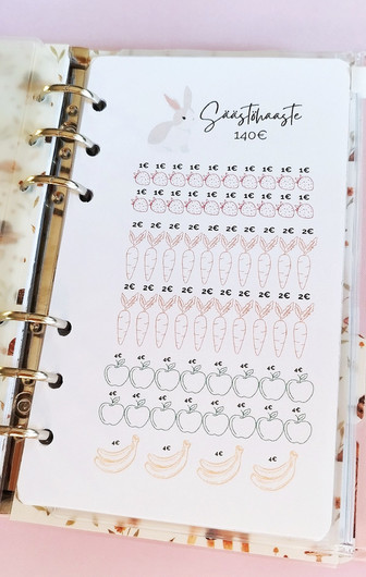 Säästöhaaste kortit budjettikansioon, Puputeema