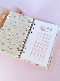 Säästöhaaste kortit budjettikansioon, Puputeema