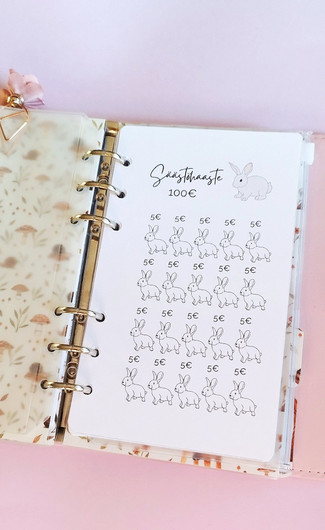 Säästöhaaste kortit budjettikansioon, Puputeema