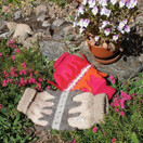 Margit-muhvi Pink Lady