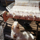 Meeri kudottu huivi Helmet rantahiekalla n. 200x36 cm