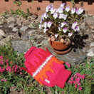 Margit-muhvi Pink Lady