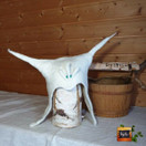 Satu-saunahattu Lapin Lumous Lumi - S - n. 54-57 cm