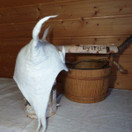 Satu-saunahattu Lapin Lumous Lumi - S - n. 54-57 cm