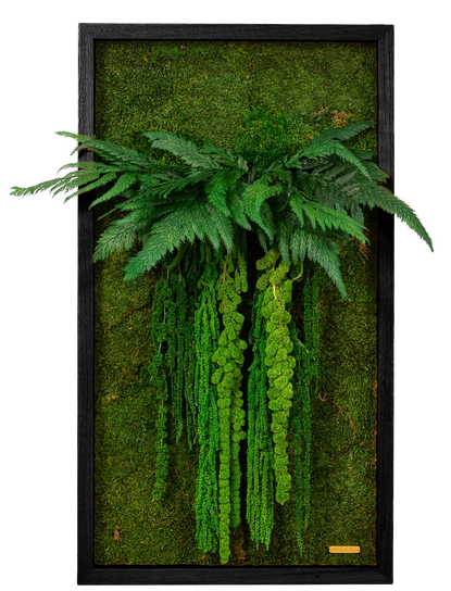 Jungle Vibe