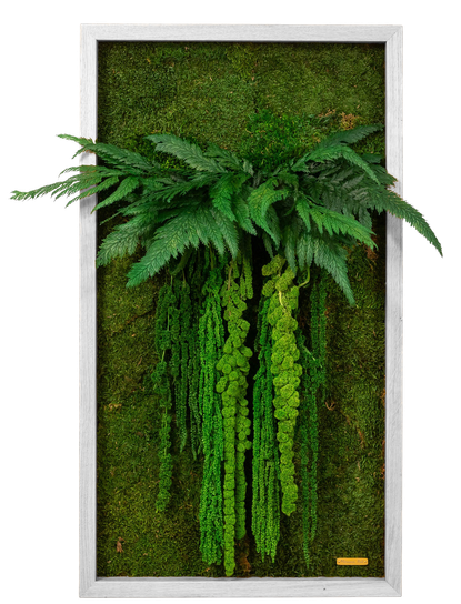 Jungle Vibe