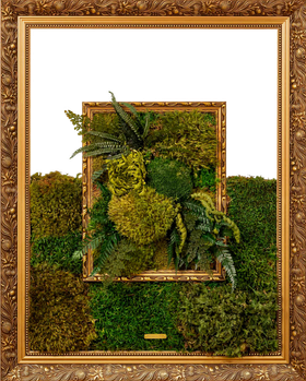 Golden Garden