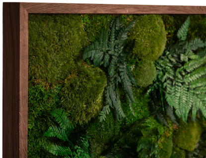 3DMoss Hazel