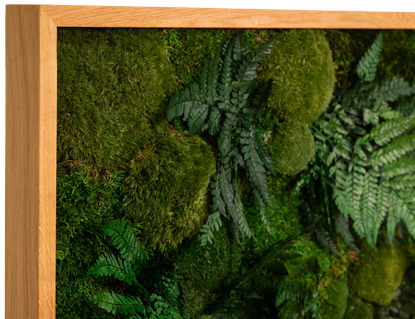 3DMoss Oak