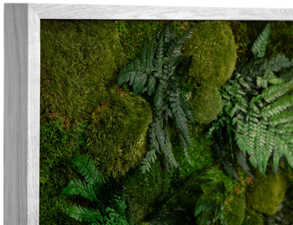 Framed Garden