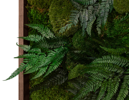 3DMoss Hazel