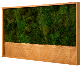 3DMoss Basic