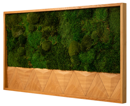 3DMoss Basic
