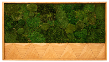 3DMoss Basic