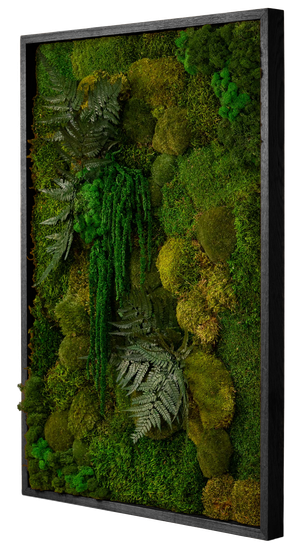 Framed Garden