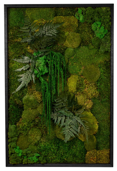 Framed Garden