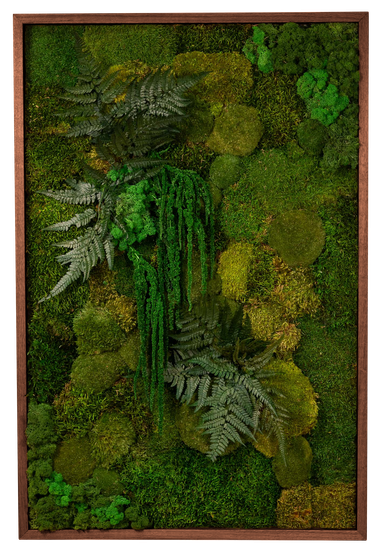 Framed Garden