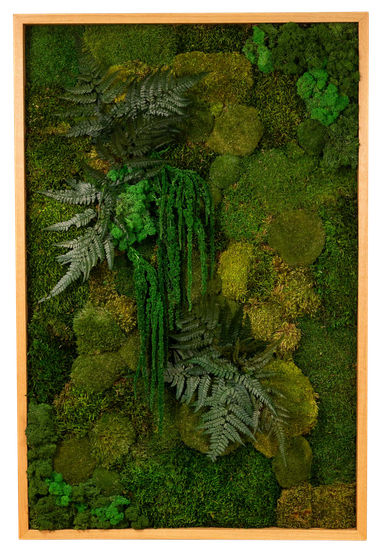 Framed Garden