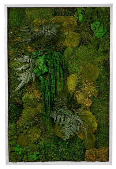 Framed Garden