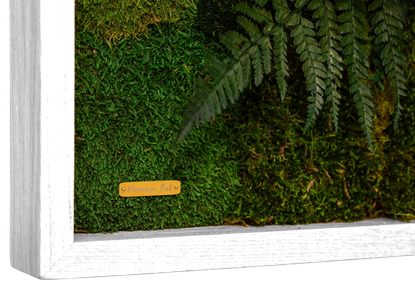 Framed Garden