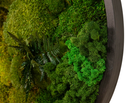 Round Moss Elegance