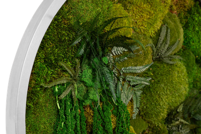 Round Moss Elegance